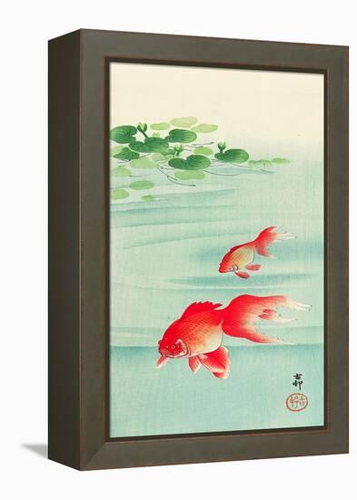 Two Goldfish-Koson Ohara-Framed Premier Image Canvas