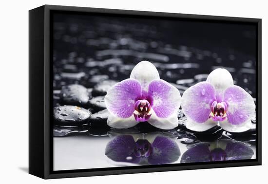 Two Gorgeous Orchid on Stones Reflection-crystalfoto-Framed Premier Image Canvas