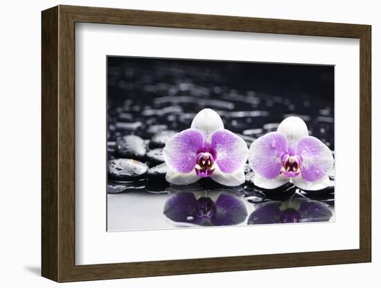 Two Gorgeous Orchid on Stones Reflection-crystalfoto-Framed Photographic Print
