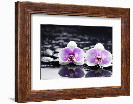 Two Gorgeous Orchid on Stones Reflection-crystalfoto-Framed Photographic Print