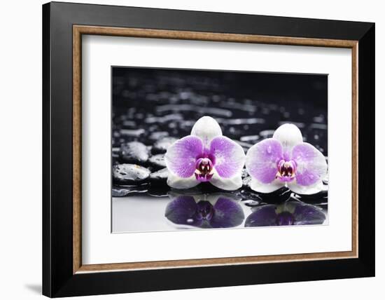 Two Gorgeous Orchid on Stones Reflection-crystalfoto-Framed Photographic Print