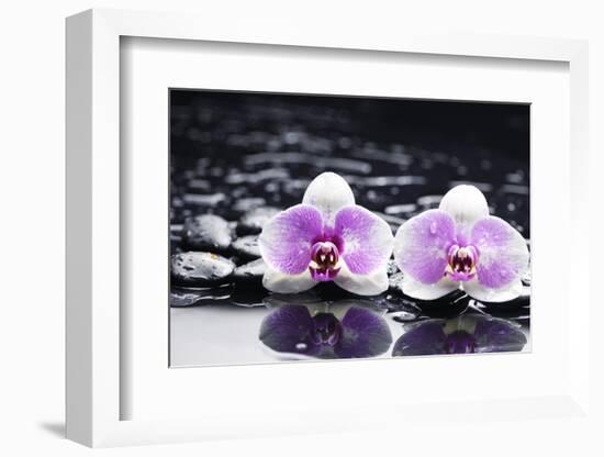 Two Gorgeous Orchid on Stones Reflection-crystalfoto-Framed Photographic Print