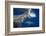 Two great white sharks Guadalupe Island, Mexico-David Fleetham-Framed Photographic Print