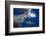 Two great white sharks Guadalupe Island, Mexico-David Fleetham-Framed Photographic Print