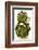 Two Green Artichokes-Alain Caste-Framed Photographic Print