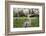 Two Grey Herons (Ardea Cinerea) Standing in Regent's Park, London, England, UK, April-Bertie Gregory-Framed Photographic Print