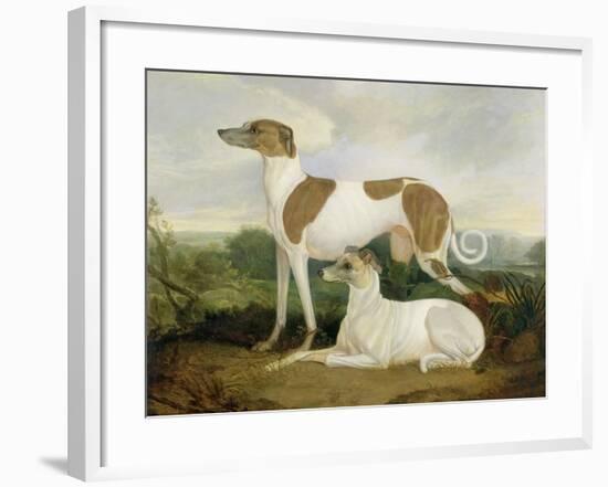 Two Greyhounds in a Landscape-Charles Hancock-Framed Giclee Print