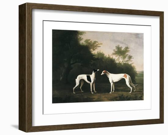 Two Greyhounds-unknown Boultbee-Framed Art Print