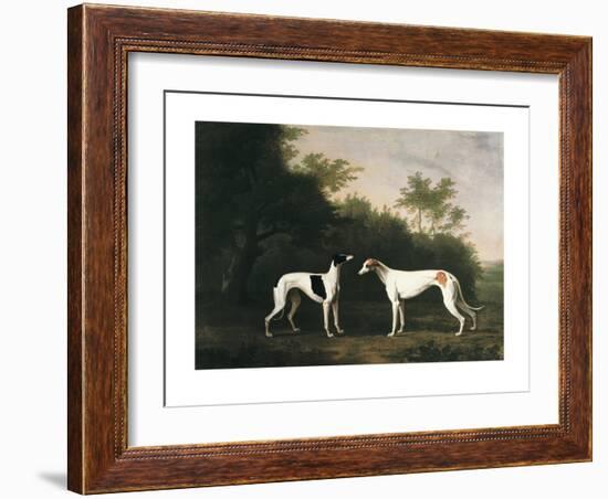 Two Greyhounds-unknown Boultbee-Framed Art Print