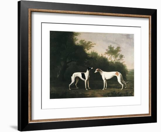 Two Greyhounds-unknown Boultbee-Framed Art Print
