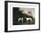 Two Greyhounds-unknown Boultbee-Framed Art Print