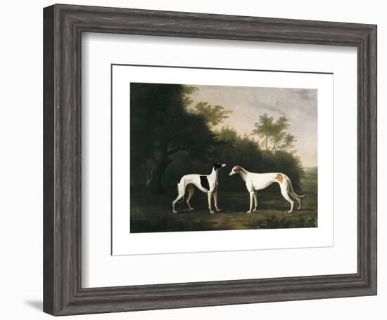 Two Greyhounds-unknown Boultbee-Framed Art Print