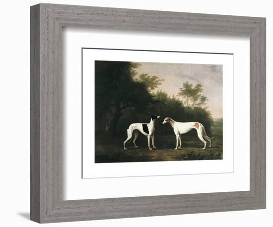 Two Greyhounds-unknown Boultbee-Framed Art Print