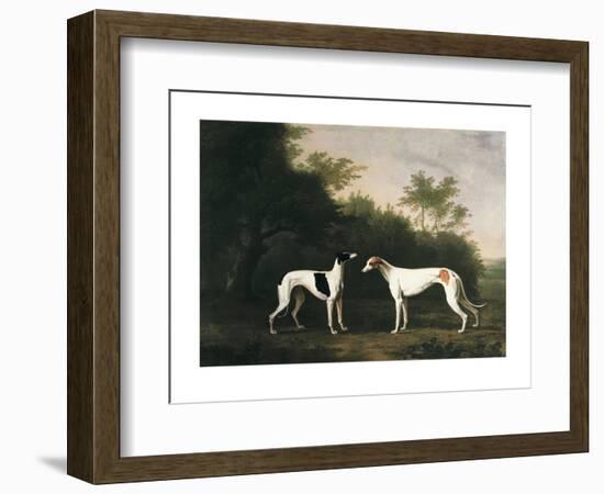 Two Greyhounds-unknown Boultbee-Framed Art Print