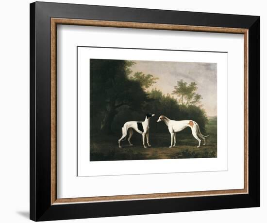 Two Greyhounds-unknown Boultbee-Framed Art Print