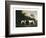 Two Greyhounds-unknown Boultbee-Framed Art Print