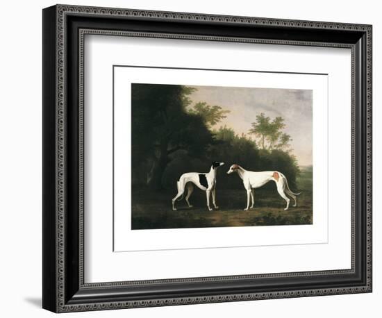 Two Greyhounds-unknown Boultbee-Framed Art Print