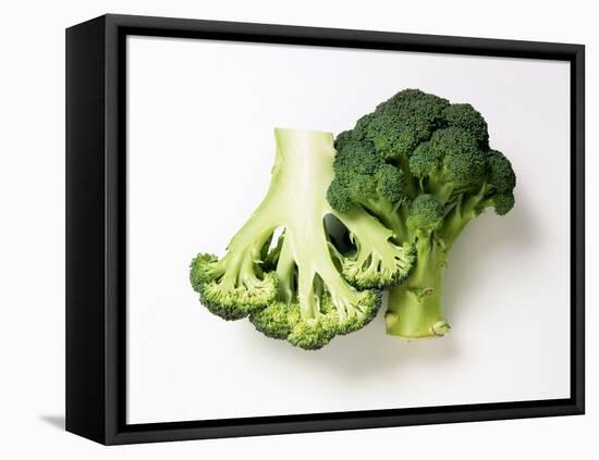 Two Half Broccoli Florets-Janne Peters-Framed Premier Image Canvas