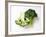 Two Half Broccoli Florets-Janne Peters-Framed Photographic Print