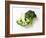 Two Half Broccoli Florets-Janne Peters-Framed Photographic Print