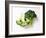 Two Half Broccoli Florets-Janne Peters-Framed Photographic Print