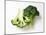 Two Half Broccoli Florets-Janne Peters-Mounted Photographic Print