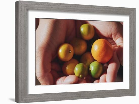 Two Hands Holding Calamansi Fruit, A Small Citrus Fruit Associated With Filipino Food And Cooking-Shea Evans-Framed Photographic Print