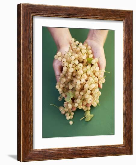 Two Hands Holding White Currants-Marc O^ Finley-Framed Photographic Print