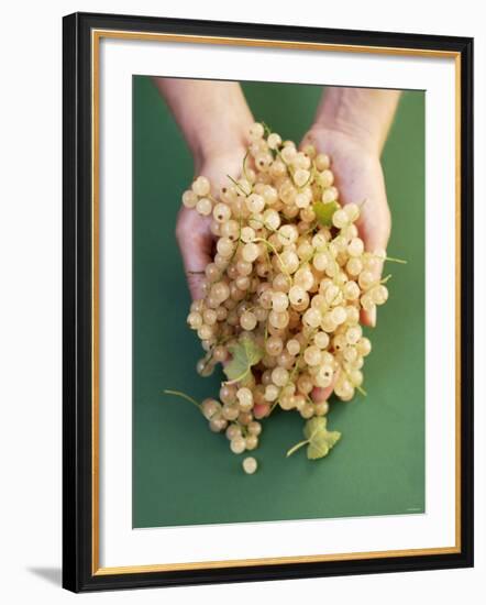 Two Hands Holding White Currants-Marc O^ Finley-Framed Photographic Print