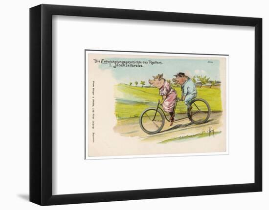 Two Happy Pigs Out for a Ride on their Tandem Bicycle-null-Framed Photographic Print