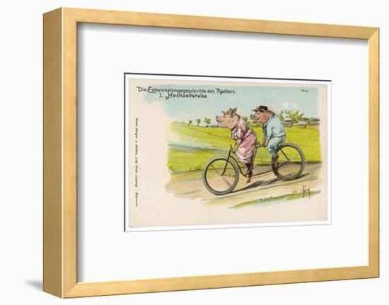 Two Happy Pigs Out for a Ride on their Tandem Bicycle-null-Framed Photographic Print