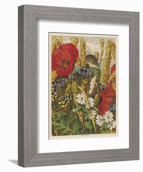 Two Harvest Mice Among the Ears of Corn and Poppies-null-Framed Art Print