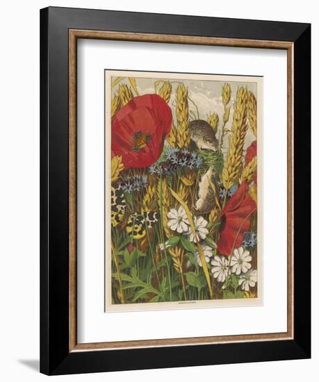 Two Harvest Mice Among the Ears of Corn and Poppies-null-Framed Art Print