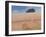 Two Hay Bales, 2012-Lincoln Seligman-Framed Giclee Print