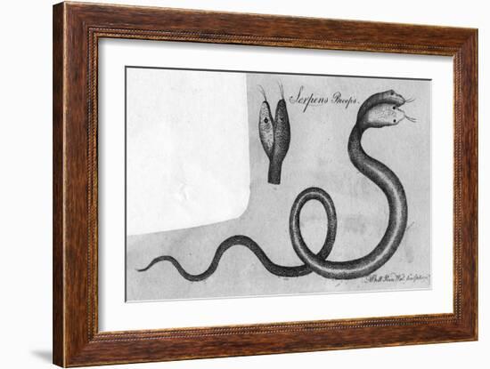 Two-Headed Snake, C.1770-A Bell-Framed Art Print