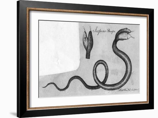 Two-Headed Snake, C.1770-A Bell-Framed Art Print