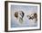 Two Heads, One as a Profile and One as a Portrait-Rusty Frentner-Framed Giclee Print