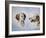 Two Heads, One as a Profile and One as a Portrait-Rusty Frentner-Framed Giclee Print