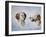 Two Heads, One as a Profile and One as a Portrait-Rusty Frentner-Framed Giclee Print