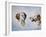 Two Heads, One as a Profile and One as a Portrait-Rusty Frentner-Framed Giclee Print