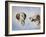 Two Heads, One as a Profile and One as a Portrait-Rusty Frentner-Framed Giclee Print