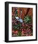 Two Heron Hunt Amongst Flowers-Rich LaPenna-Framed Giclee Print