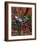 Two Heron Hunt Amongst Flowers-Rich LaPenna-Framed Giclee Print
