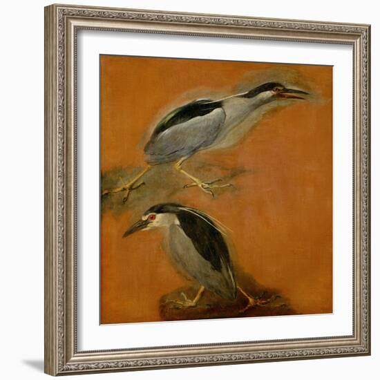 Two herons-Pieter Boel-Framed Giclee Print