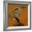 Two herons-Pieter Boel-Framed Giclee Print