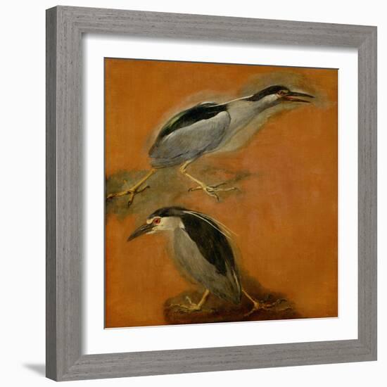 Two herons-Pieter Boel-Framed Giclee Print