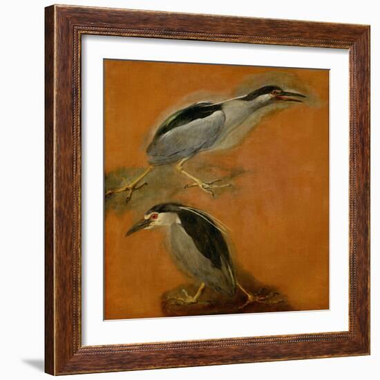 Two herons-Pieter Boel-Framed Giclee Print