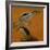 Two herons-Pieter Boel-Framed Giclee Print