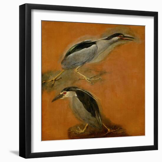 Two herons-Pieter Boel-Framed Giclee Print