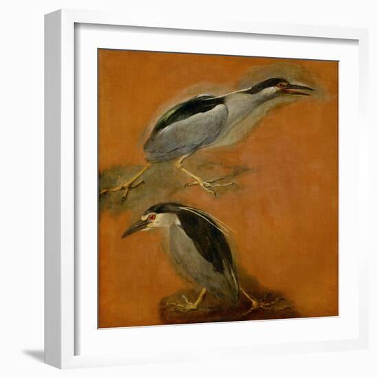 Two herons-Pieter Boel-Framed Giclee Print